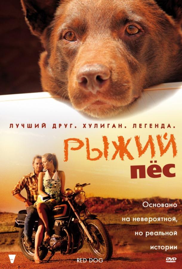 Фильм Рыжий пес (2011) смотреть онлайн в HD качестве